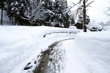 Araba lastiği yolda kar kış Road