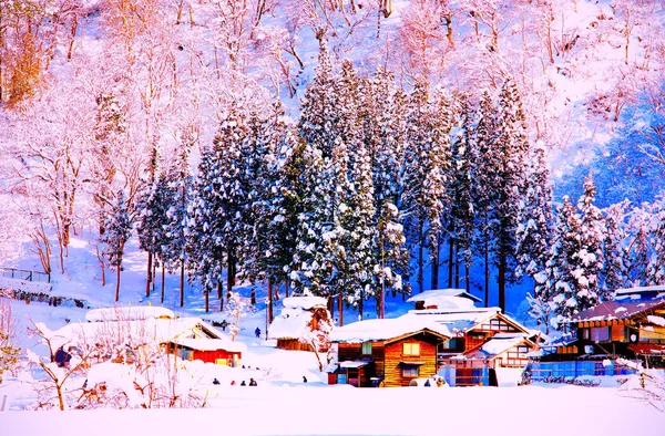 Träd Täcker Med Snön Parken Japan — Stockfoto