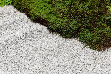 Bahçe zemini küçük taşlar ve yeşil otlardan oluşur..