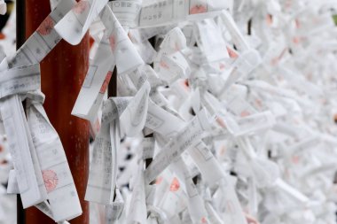 Kamakura, Japonya - 21 Eylül 2019: Tsurugaoka Hachimangu Shri