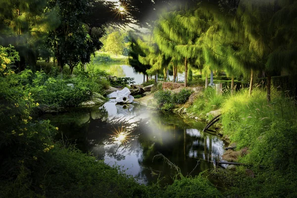 Water Pond Scene - Pond of water with a sunny reflection of trees in a wooded rural area