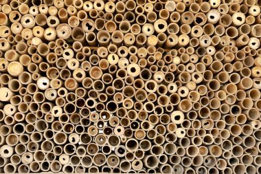 Bambu borusu arka planda. Bambu parçalı ahşap arka plan.