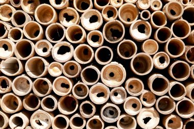 Bambu borusu arka planda. Bambu parçalı ahşap arka plan.