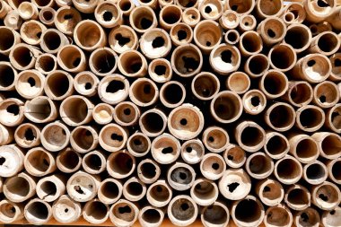 Bambu borusu arka planda. Bambu parçalı ahşap arka plan.