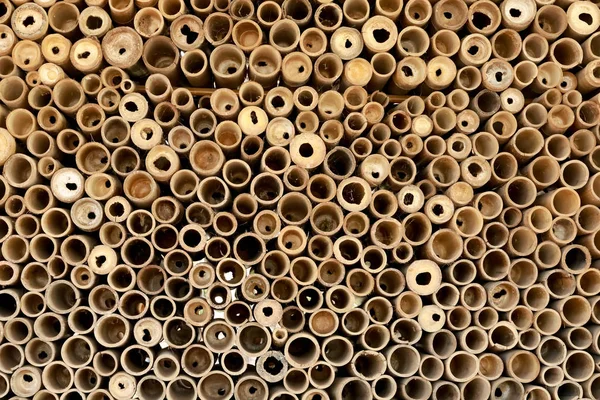 Bamboo pipe background.Wooden background with sections of bamboo — Stock Photo, Image