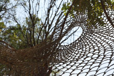 Yaprak dökme koruması için halat ağları