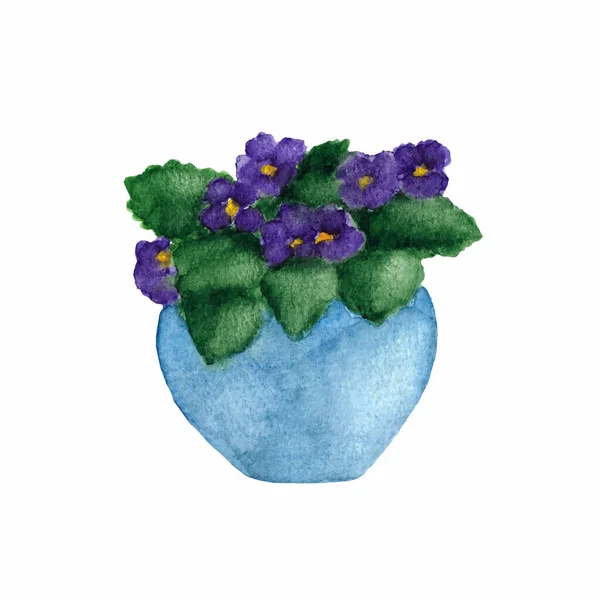 Aquarellzeichnung Von Blühendem Veilchen Blumentopf — Stockvektor