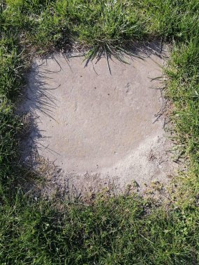 Çimen ve betondan yapılmış doğal çerçeve