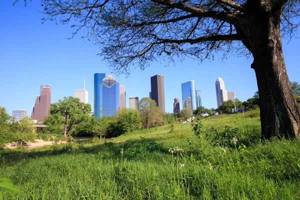 Árvore moldura vista do centro de Houston cidade — Fotografia de Stock