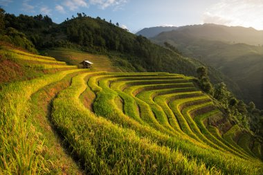 Güzel manzara pirinç tarlaları üzerinde Mu Cang Chai teraslı
