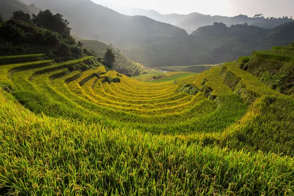 Piękny krajobraz pól ryżowych na tarasowe Mu Cang Chai — Zdjęcie stockowe