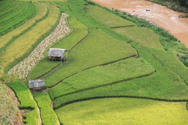 Beautiful landscape hut with rice fields on terraced of Mu Cang — Stock Photo, Image