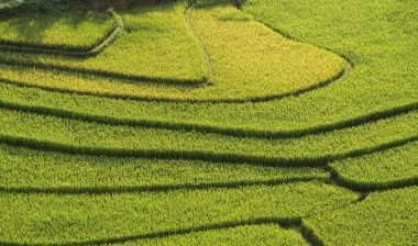 Güzel manzara pirinç tarlaları üzerinde Mu Cang Chai teraslı