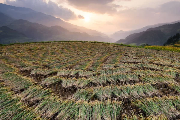 Hermosos campos de arroz de paisaje en terrazas de Mu Cang Chai — Foto de Stock