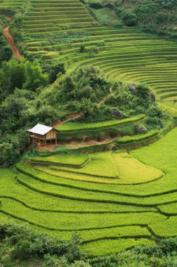 Güzel manzara pirinç tarlaları üzerinde Mu Cang Chai teraslı