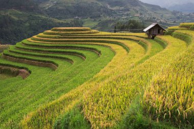Güzel manzara pirinç tarlaları üzerinde Mu Cang Chai teraslı