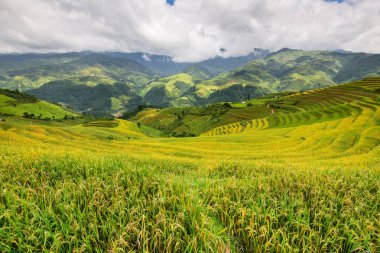 Güzel manzara pirinç tarlaları üzerinde Mu Cang Chai teraslı