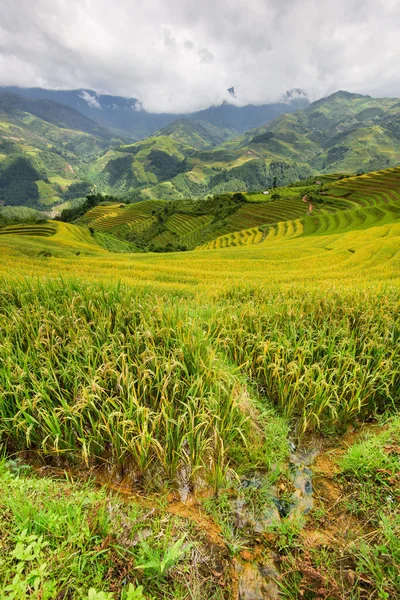 Beautiful landscape rice fields on terraced of Mu Cang Chai — Stock Photo, Image