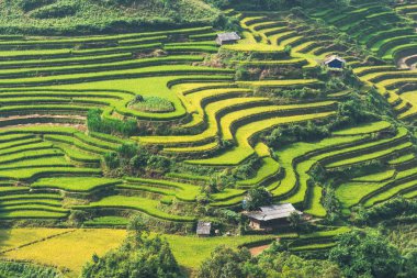Güzel manzara pirinç tarlaları üzerinde Mu Cang Chai teraslı