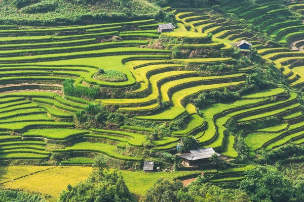 Güzel manzara pirinç tarlaları üzerinde Mu Cang Chai teraslı