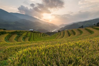 Güzel manzara pirinç tarlaları üzerinde Mu Cang Chai teraslı