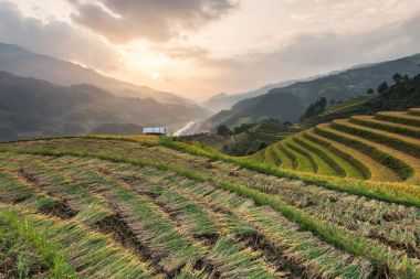 Güzel manzara pirinç tarlaları üzerinde Mu Cang Chai teraslı