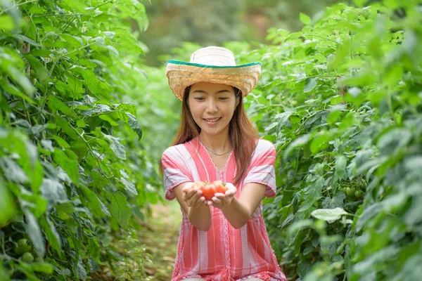 Sebze bahçesinde domates tutan genç kadın