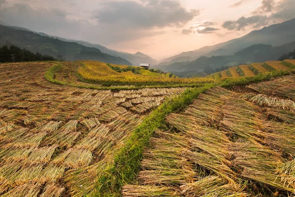 Hermosos campos de arroz de paisaje en terrazas de Mu Cang Chai — Foto de Stock