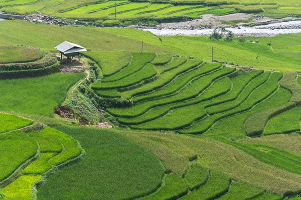 Schöne Landschaft Reisfelder auf Terrassen von Mu Cang Chai — Stockfoto