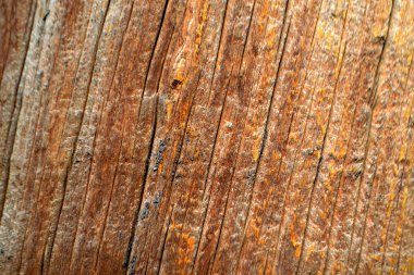 eski ahşap dokuyu kapat arkaplan