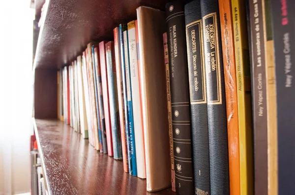 Estantes Biblioteca Con Libros — Foto de Stock