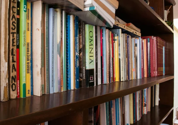 Bibliotekshyllor Med Böcker — Stockfoto
