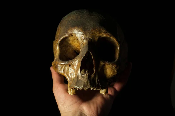 Human Skull Black Background — Stock Photo, Image