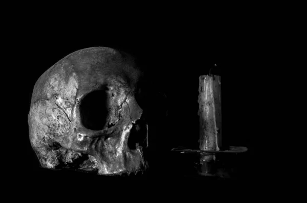 Human Skull Black Background — Stock Photo, Image