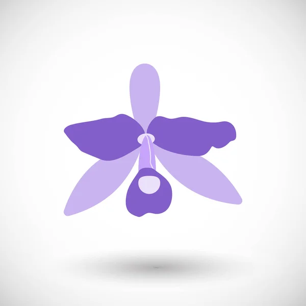 Orkide düz vektör simgesi — Stok Vektör