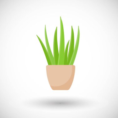 Aloe vera bitki pot vektör düz simgesi