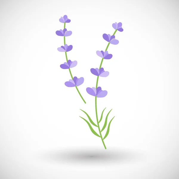 Lavendel Pflanzenvektor flaches Symbol — Stockvektor