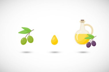 Zeytinyağı vektör düz Icon set