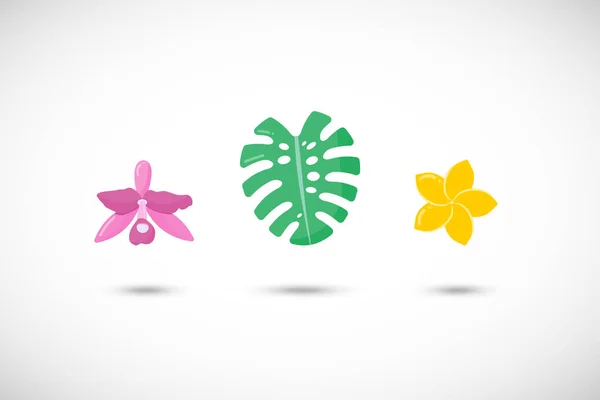 Tropical plants vector flat icons set — Stock Vector