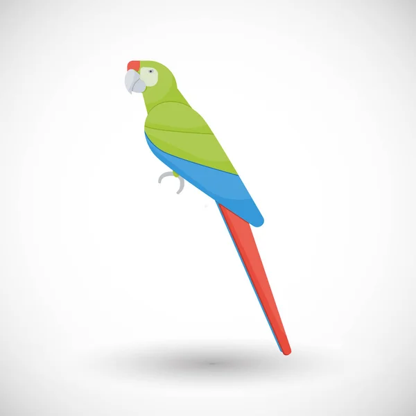Great green macaw flat vector icon — Stock Vector
