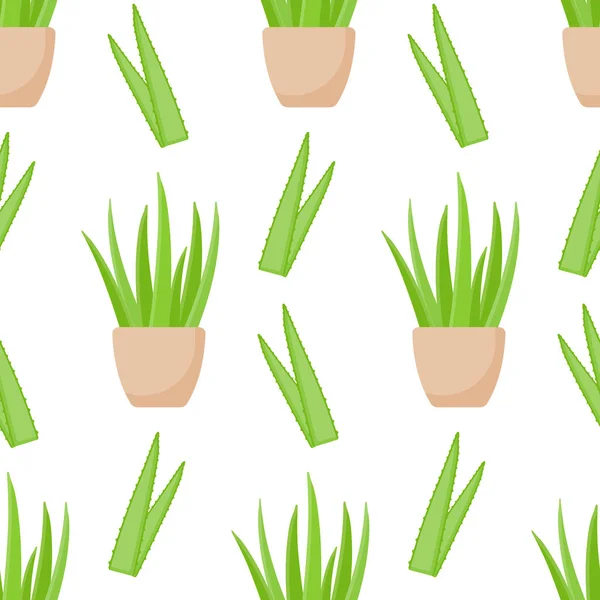 Aloe vera planta vector patrón sin costura — Vector de stock