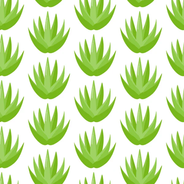 Aloe vera planta vetor padrão sem costura — Vetor de Stock