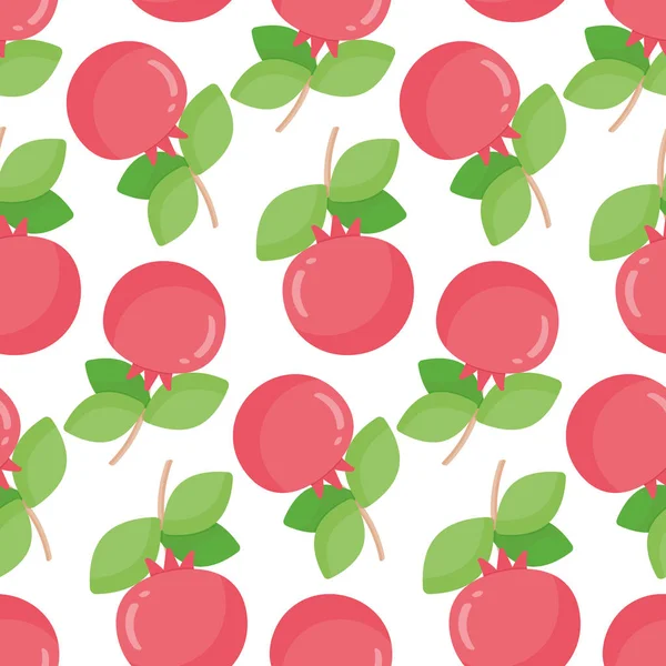 Pomegranate vector seamless pattern — Stock Vector