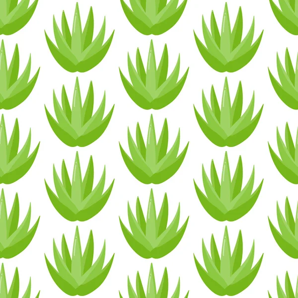 Patrón sin costura de planta de aloe vera — Foto de Stock