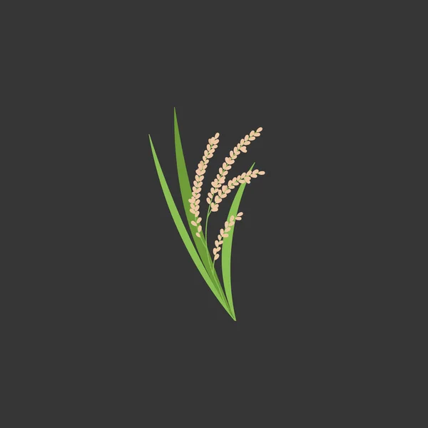 Arroz planta vector icono plano — Archivo Imágenes Vectoriales