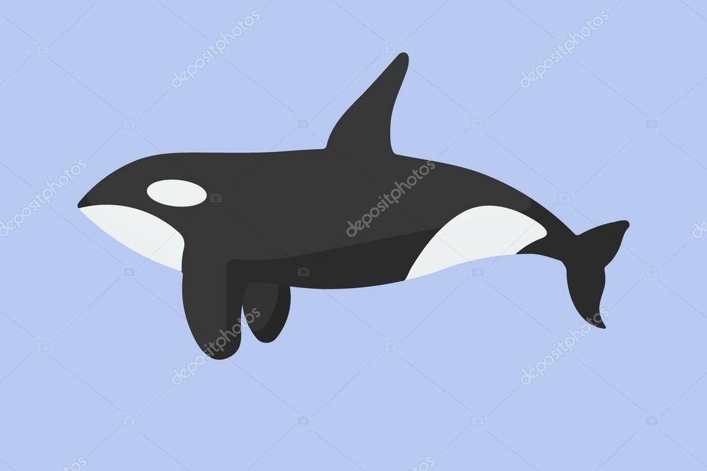 Killer whale vector flat icon, Flat design of orca mammal on the light blue background, vector illustration with shadows