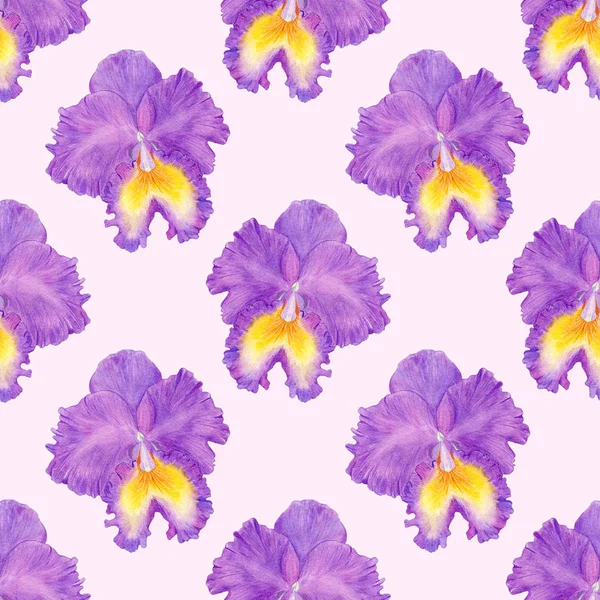 Orchid watercolor seamless pattern — Stock Photo, Image