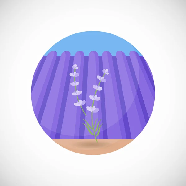 Lavendel plant vector platte pictogram — Stockvector