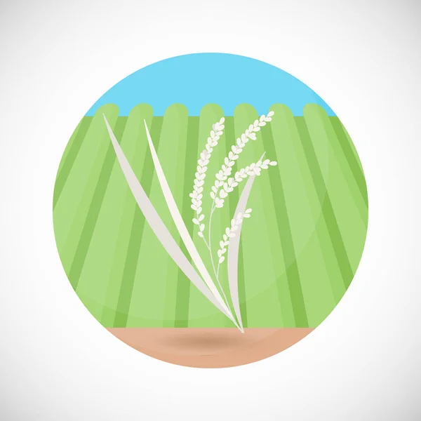 Rice plant bag vector flat icon — Stock Vector