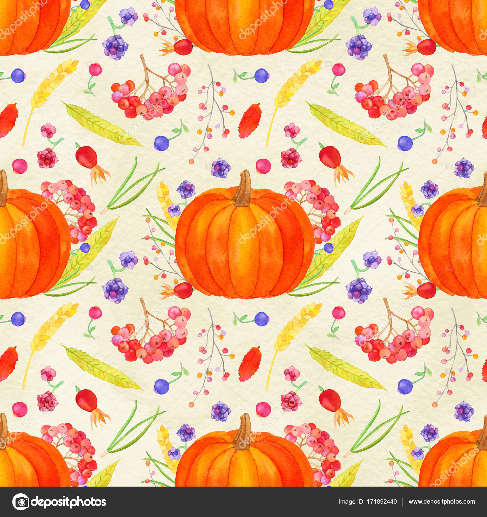 Download Pumpkin Arrangement Seamless Pattern Autumn Harvest Watercolor Stock Photo Image By C Runlenarun 171892440